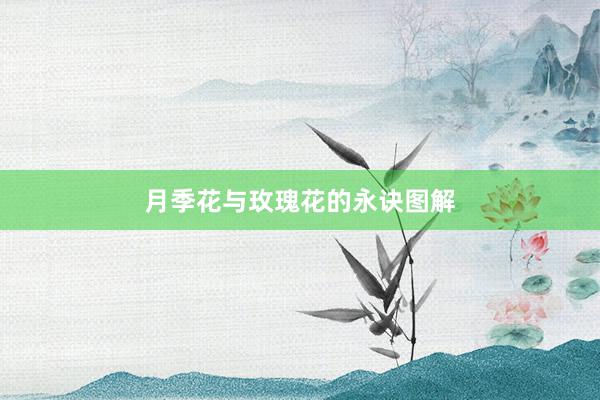 月季花与玫瑰花的永诀图解